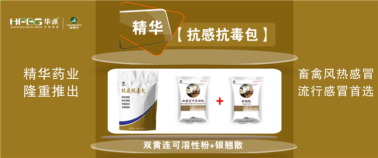 ���գ����ֳ������ݸ�ð��ʢ���Ը�ð�ķ��� |�����п��������������ס������Ŷ����������������ݷ��ȸ�ð��ʢ�и�ð��ѡ!