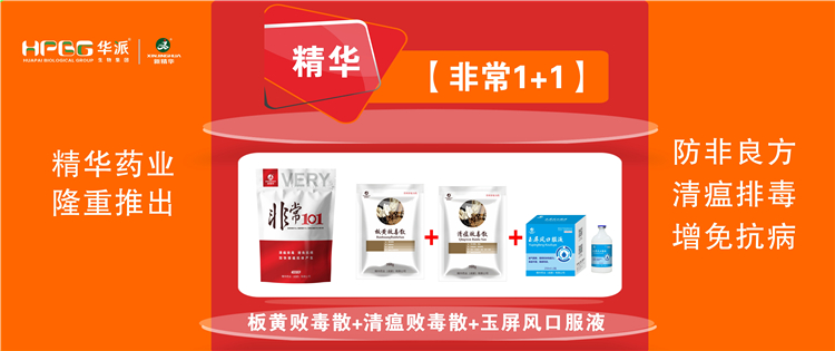 ���գ������������ش�ʩ |������1+1����������, �����Ŷ������⿹�����ӿ������������!