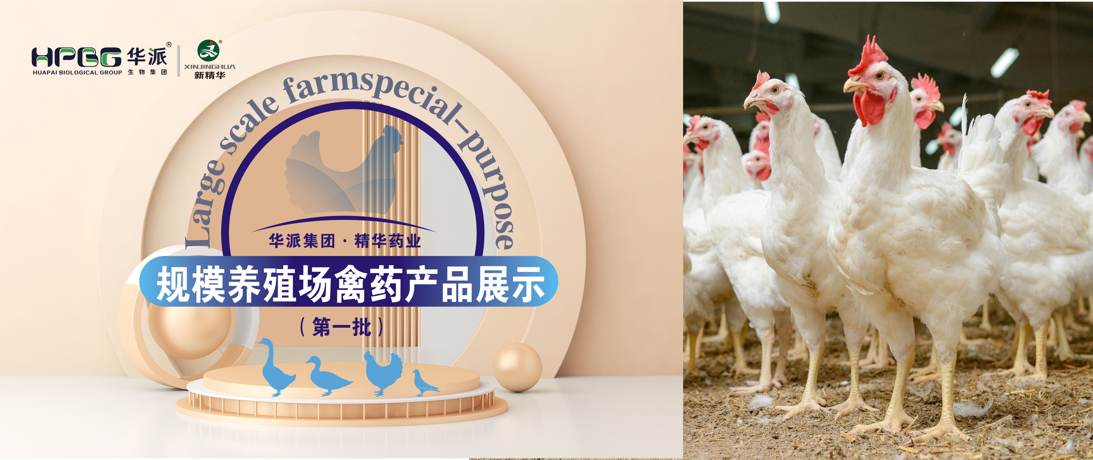 ��������ֳ��ר�� | ���ɼ���&middot;���ֲ�blbҩҵ��������ֳ����ҩ��Ʒչʾ����һ����